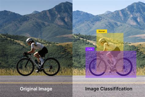 Classification Applications 的图像结果