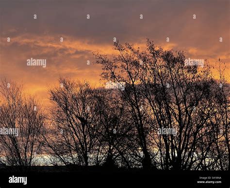 Red dawn sky hi-res stock photography and images - Alamy