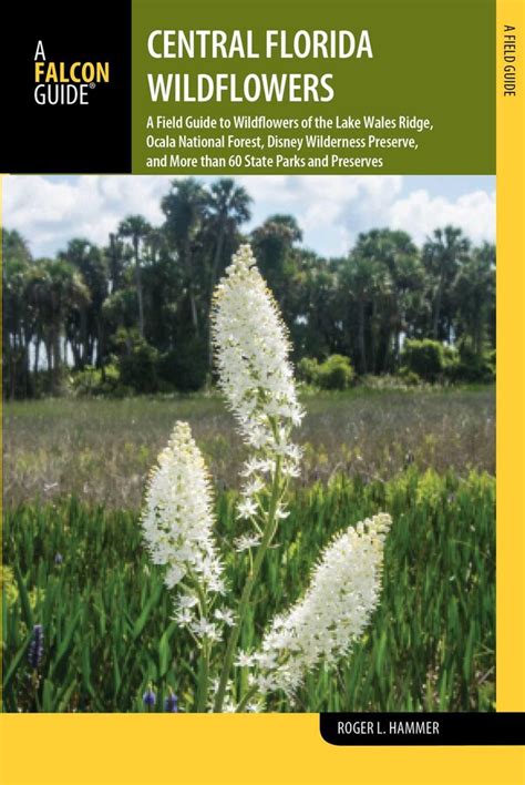 Central Florida Wildflowers eBook by Roger L. Hammer | Official ...
