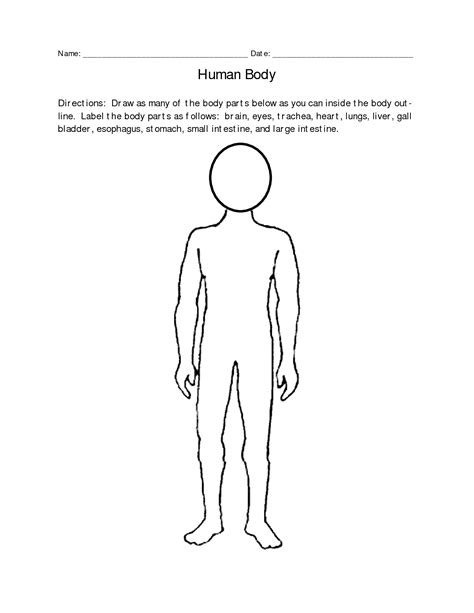 Image result for Body Drawing Reference