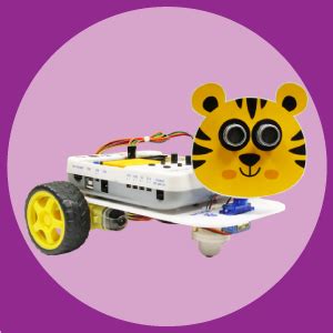 Buy STEMpedia evive Starter Kit - DIY Robotics Kit for Kids 8 Years ...