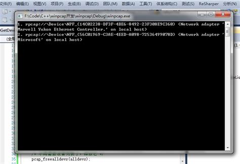 Using WinPcap 的图像结果