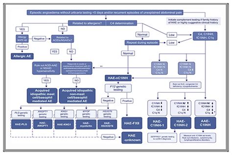 Image result for Lymphgen Algorithm
