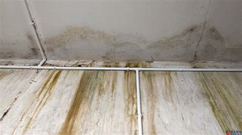 楼上洗手间漏水渗到楼下怎么处理-楼盘网