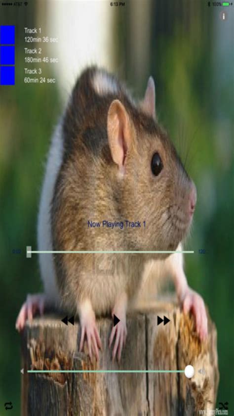 Image result for Mouse Repel Sound Download