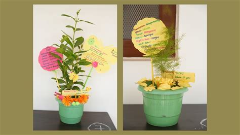 Pharmacist Day - Shri Vishwanath Pharmacy