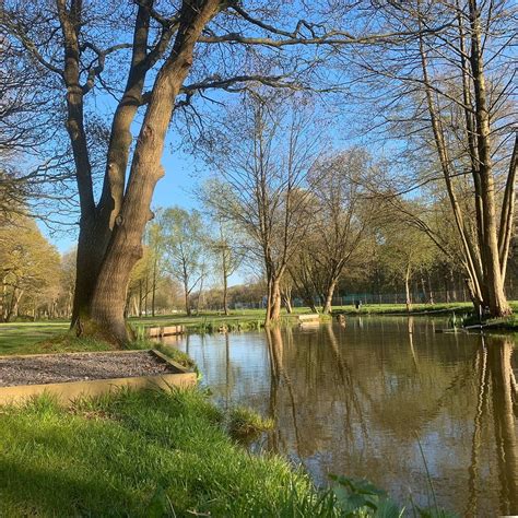 Pondwood Fisheries (Maidenhead) - All You Need to Know BEFORE You Go