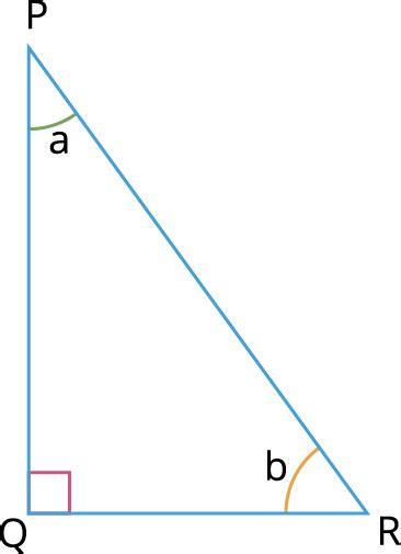 Determine the unknown angle in the right triangle — task. Mathematics ...