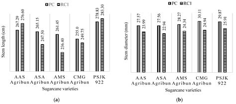 Growth and Yield Potential of New Sugarcane Varieties during Plant and ...