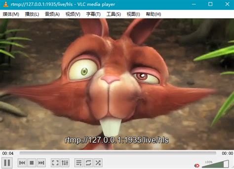 Rtmp Local Server 的图像结果