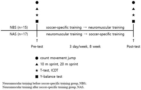 Arrangement Order Effects of Neuromuscular Training on the Physical ...