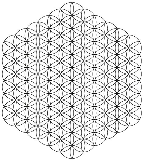 Image result for Flower of Life Pattern