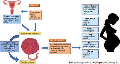 COVID-19 and hemolysis, elevated liver enzymes and thrombocytopenia syndrome in pregnant women ...