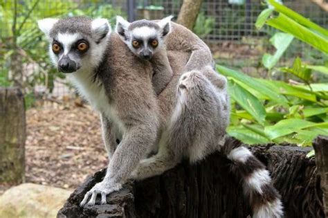 10 Fun Things To Do In Perth On Your Next Trip Down Under