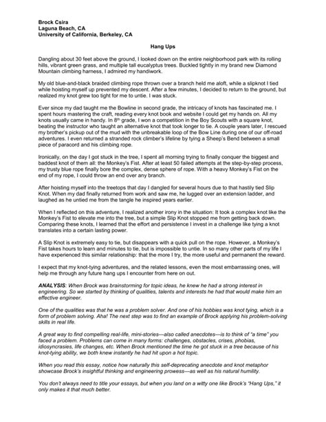 Image result for UIUC Essay Prompt Examples