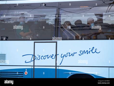 Image result for Tui Bus Liver Side View