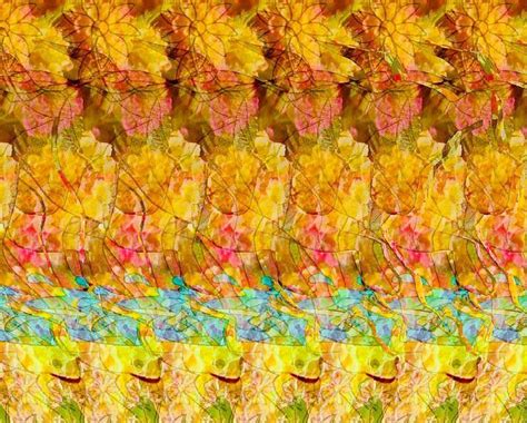 Image result for Magic Eye Splitter