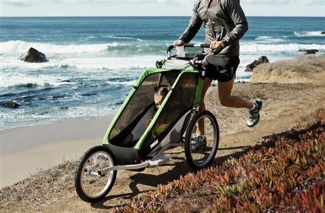 Bike Trailer Reviews 的图像结果