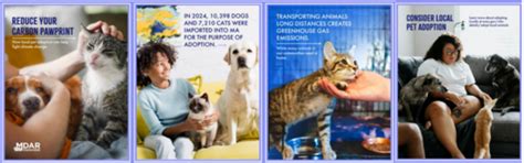 Learn More About MDAR's Climate Program | Mass.gov