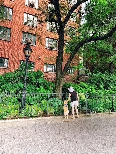 Image result for Practically Neighbors