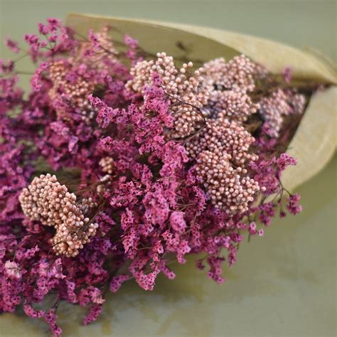 Magical Spell Bouquet Delivery in Singapore - FNP SG