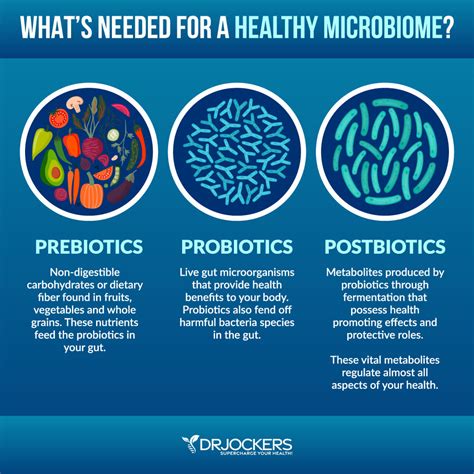 Postbiotics: Best Sources for Gut Health and Inflammation Levels