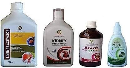 ONLY AYURVED Liver Reactivator 500ml Kidney Reactivator 500ml Amrit Ras ...