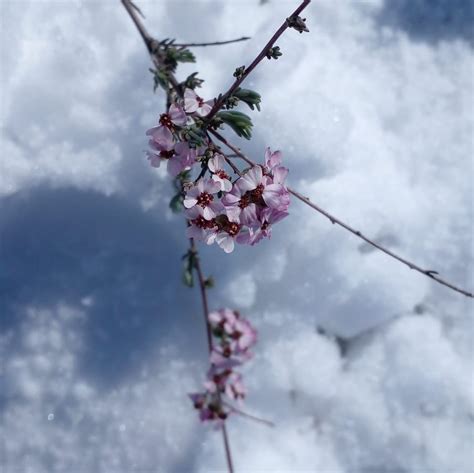 track site:https://www.facebook.com/ 的图像结果