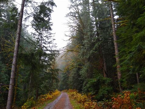 Iron Horse Trail in North Bend - Ordinary Adventures