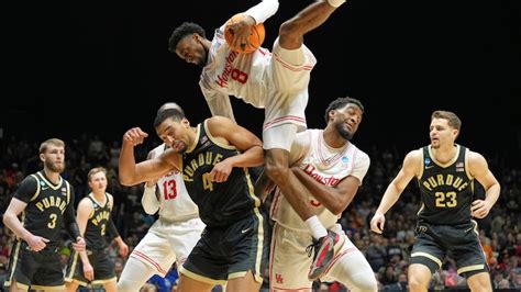 Meet Vito: America’s newest top dog