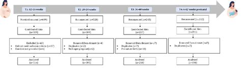 Image result for Data Collection Form the Process