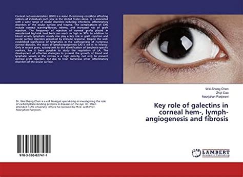 Key role of galectins in corneal hem-, lymph-angiogenesis and fibrosis ...