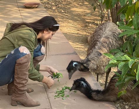 Spend A Day At This Animal Farm In Faridabad | LBB Delhi