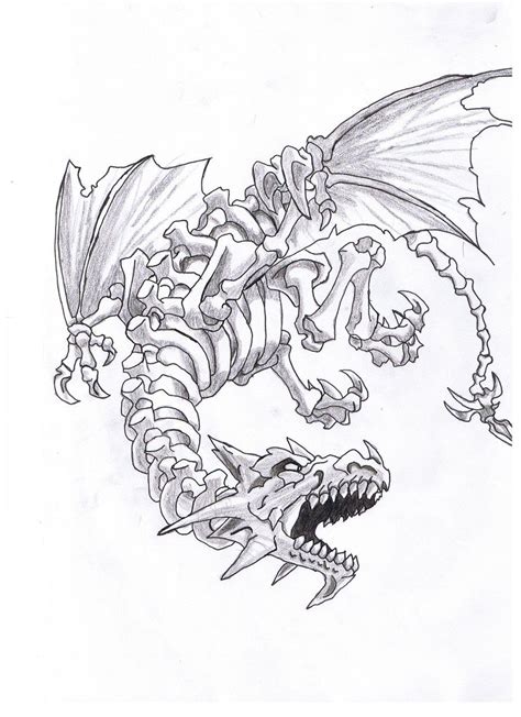 Dragon Skeleton Drawing 的图像结果