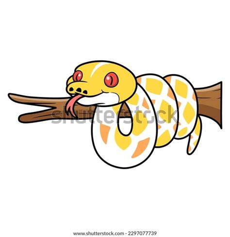 Image result for Reticulated Python Cute