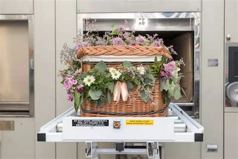 Explained: Environment Friendly Cremation