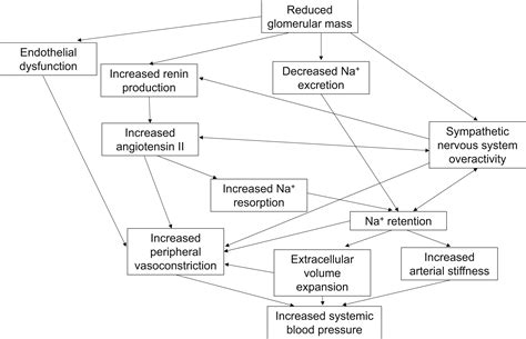 Hypertension in CKD: Core Curriculum 2019 - American Journal of Kidney Diseases