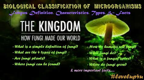 Types Of Fungi On Humans