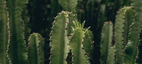 Credit Union Mortgage Rates For Home Loans | California & North Island ...