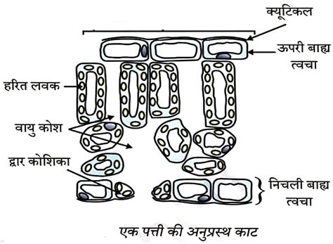 Image result for Chart Science for 10 Class