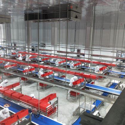 High quality industrial automatic Slaughter conveyor belt line ...