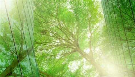 Net Zero Targets and Decarbonization Stress Testing