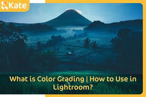 Image result for Understanding Color Grading