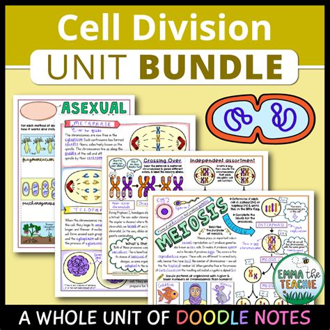 Free Science Lessons Cell Division 的图像结果