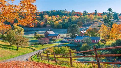 Fall Foliage Prediction 2024: Here's When To Plan Your Leaf-Peeping Trip