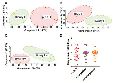 Papillary Renal Cell Carcinomas Rewire Glutathione Metabolism and Are ...