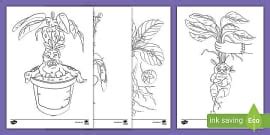 Magic Colouring Sheets (teacher made) - Twinkl