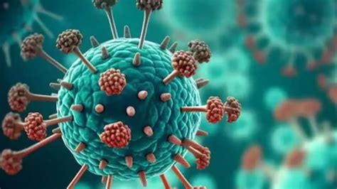 Rare human coronavirus detected in Kolkata woman: What is HKU1, and how ...