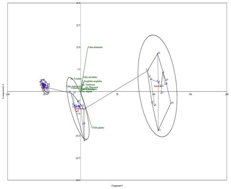 Abundance, Diversity and Distribution of Mosquito Species and Molecular ...