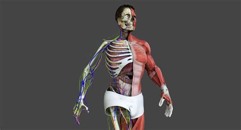 Image result for Anatomy of a Function in JavaScript